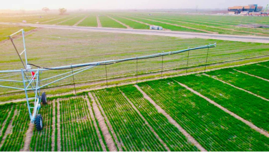 加速高标准农田树模区项目建设初现效果